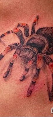 фото тату тарантул от 21.11.2017 №075 — tattoo tarantula — tatufoto.com