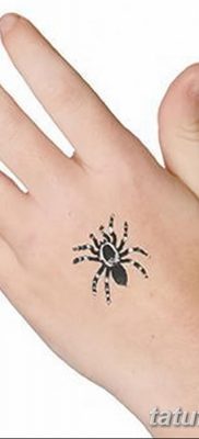 фото тату тарантул от 21.11.2017 №076 — tattoo tarantula — tatufoto.com