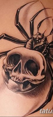 фото тату тарантул от 21.11.2017 №077 — tattoo tarantula — tatufoto.com