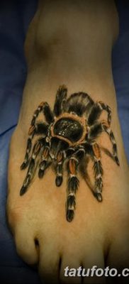 фото тату тарантул от 21.11.2017 №080 — tattoo tarantula — tatufoto.com