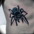 фото тату тарантул от 21.11.2017 №081 - tattoo tarantula - tatufoto.com