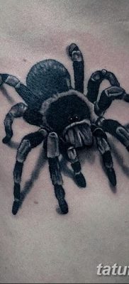 фото тату тарантул от 21.11.2017 №081 — tattoo tarantula — tatufoto.com