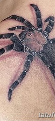 фото тату тарантул от 21.11.2017 №083 — tattoo tarantula — tatufoto.com