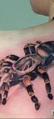 фото тату тарантул от 21.11.2017 №085 — tattoo tarantula — tatufoto.com