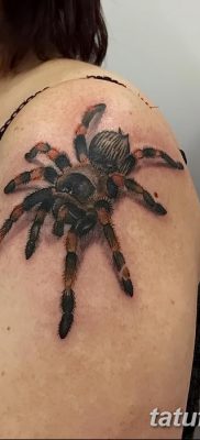 фото тату тарантул от 21.11.2017 №086 — tattoo tarantula — tatufoto.com