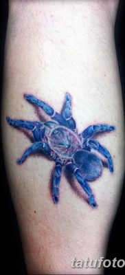 фото тату тарантул от 21.11.2017 №087 — tattoo tarantula — tatufoto.com