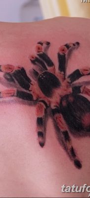 фото тату тарантул от 21.11.2017 №087 — tattoo tarantula — tatufoto.com 2346234