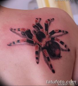 Фото тату красочного паука на лопатке. Рисунок выполнен в ярких тонах с использованием красного, черного и серого цветов. Детализированная проработка лап и тела паука.