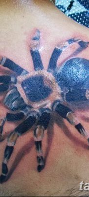 фото тату тарантул от 21.11.2017 №089 — tattoo tarantula — tatufoto.com