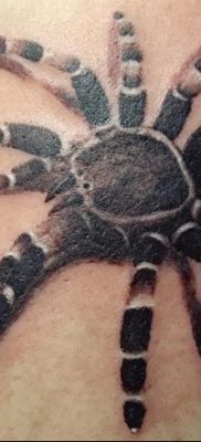 фото тату тарантул от 21.11.2017 №090 — tattoo tarantula — tatufoto.com