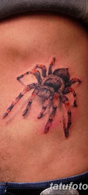 фото тату тарантул от 21.11.2017 №091 — tattoo tarantula — tatufoto.com