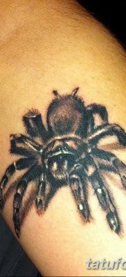 фото тату тарантул от 21.11.2017 №092 — tattoo tarantula — tatufoto.com