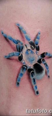 фото тату тарантул от 21.11.2017 №093 — tattoo tarantula — tatufoto.com