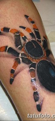 фото тату тарантул от 21.11.2017 №094 — tattoo tarantula — tatufoto.com