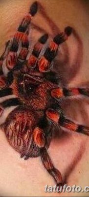 фото тату тарантул от 21.11.2017 №095 — tattoo tarantula — tatufoto.com