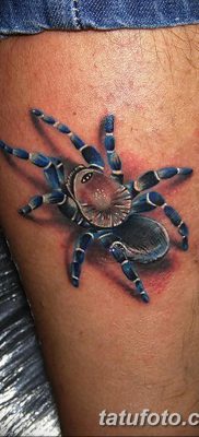 фото тату тарантул от 21.11.2017 №096 — tattoo tarantula — tatufoto.com