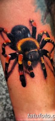 фото тату тарантул от 21.11.2017 №097 — tattoo tarantula — tatufoto.com