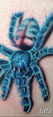 фото тату тарантул от 21.11.2017 №098 — tattoo tarantula — tatufoto.com