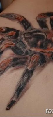 фото тату тарантул от 21.11.2017 №099 — tattoo tarantula — tatufoto.com