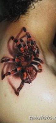 фото тату тарантул от 21.11.2017 №116 — tattoo tarantula — tatufoto.com