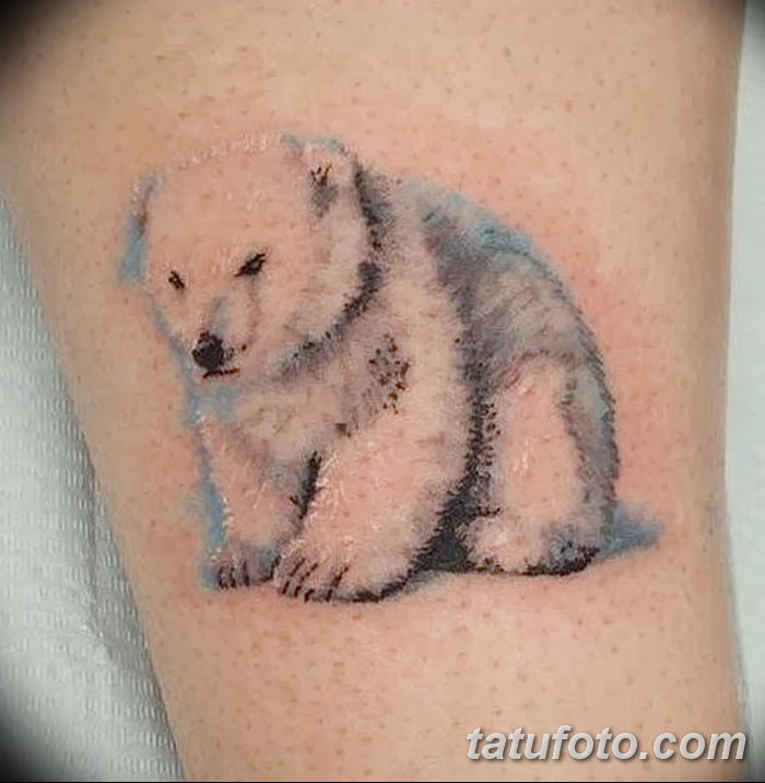 фото тату белый медведь от 03.12.2017 №080 - white bear tattoo -tatufoto.com - tatufoto.com