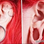 Как сделать тоннели в ушах. Смотреть фото Как сделать тоннели в ушах. Смотреть картинку Как сделать тоннели в ушах. Картинка про Как сделать тоннели в ушах. Фото Как сделать тоннели в ушах