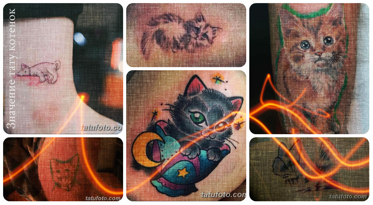 Значение тату котенок - коллекция фотографий с рисунками готовых татуировок
