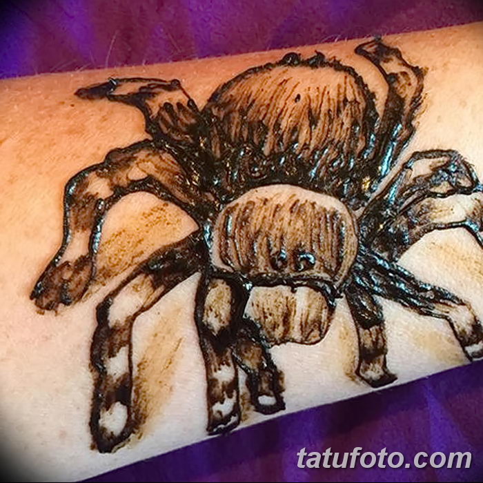 фото Мехенди паук от 03.12.2017 №015 - Mehendi the spider - tatufoto.com