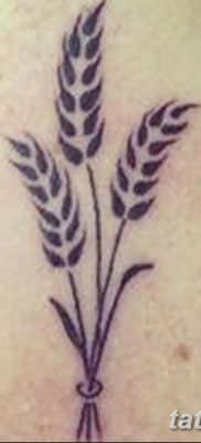 фото тату Колос пшеницы от 21.12.2017 №001 — Wheat spike tattoo — tatufoto.com