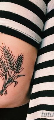 фото тату Колос пшеницы от 21.12.2017 №013 — Wheat spike tattoo — tatufoto.com