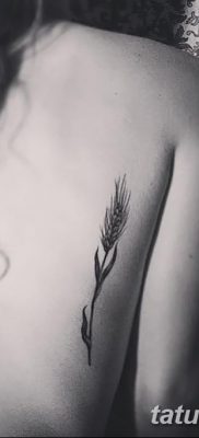 фото тату Колос пшеницы от 21.12.2017 №014 — Wheat spike tattoo — tatufoto.com