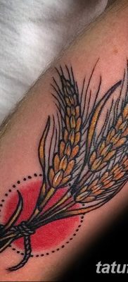 фото тату Колос пшеницы от 21.12.2017 №015 — Wheat spike tattoo — tatufoto.com
