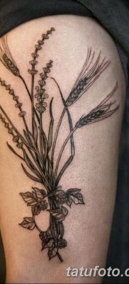 фото тату Колос пшеницы от 21.12.2017 №019 — Wheat spike tattoo — tatufoto.com