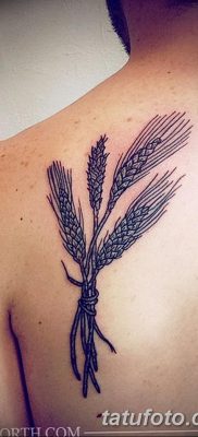 фото тату Колос пшеницы от 21.12.2017 №021 — Wheat spike tattoo — tatufoto.com