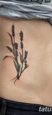 фото тату Колос пшеницы от 21.12.2017 №023 — Wheat spike tattoo — tatufoto.com