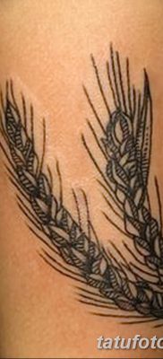 фото тату Колос пшеницы от 21.12.2017 №027 — Wheat spike tattoo — tatufoto.com