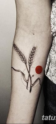 фото тату Колос пшеницы от 21.12.2017 №033 — Wheat spike tattoo — tatufoto.com