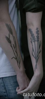 фото тату Колос пшеницы от 21.12.2017 №038 — Wheat spike tattoo — tatufoto.com