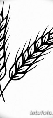 фото тату Колос пшеницы от 21.12.2017 №043 — Wheat spike tattoo — tatufoto.com