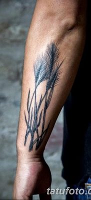 фото тату Колос пшеницы от 21.12.2017 №045 — Wheat spike tattoo — tatufoto.com