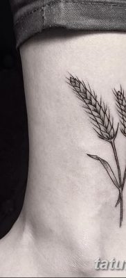 фото тату Колос пшеницы от 21.12.2017 №046 — Wheat spike tattoo — tatufoto.com