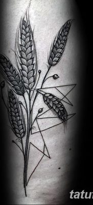 фото тату Колос пшеницы от 21.12.2017 №048 — Wheat spike tattoo — tatufoto.com