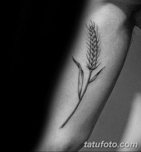 Фото тату колосьев пшеницы в стиле blackwork. Простой и элегантный рисунок на предплечье, выполненный черными линиями.