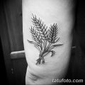 фото тату Колос пшеницы от 21.12.2017 №060 - Wheat spike tattoo - tatufoto.com