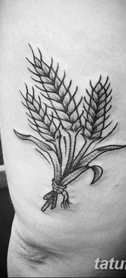 фото тату Колос пшеницы от 21.12.2017 №060 — Wheat spike tattoo — tatufoto.com