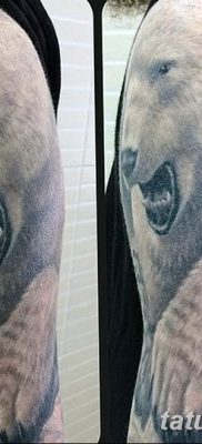 фото тату белый медведь от 03.12.2017 №002 — white bear tattoo — tatufoto.com