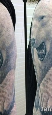 фото тату белый медведь от 03.12.2017 №014 — white bear tattoo — tatufoto.com