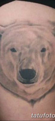 фото тату белый медведь от 03.12.2017 №019 — white bear tattoo — tatufoto.com