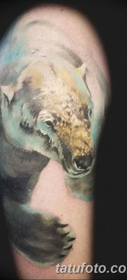 фото тату белый медведь от 03.12.2017 №029 — white bear tattoo — tatufoto.com
