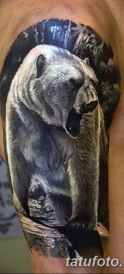 фото тату белый медведь от 03.12.2017 №073 — white bear tattoo — tatufoto.com
